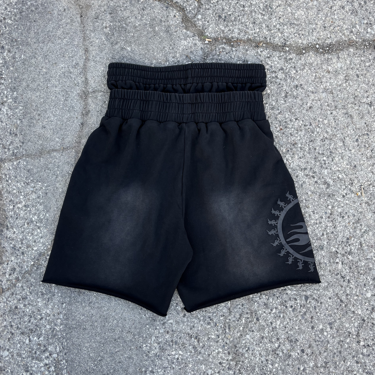 Blackberry Double Waisted Shorts
