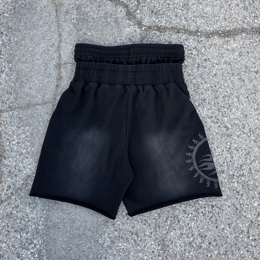 Blackberry Double Waisted Shorts